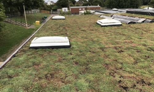 Green roof