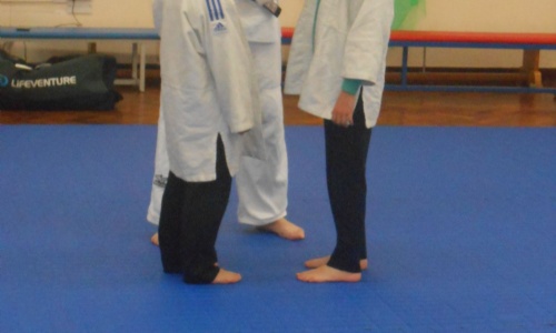 Children ready for judo